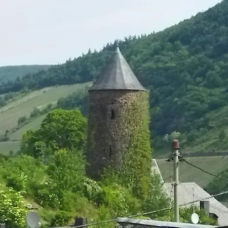 Casa Servatius Daire Briedel