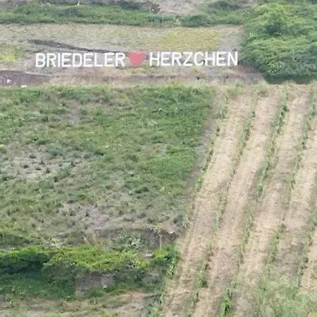 Casa Servatius Daire Briedel