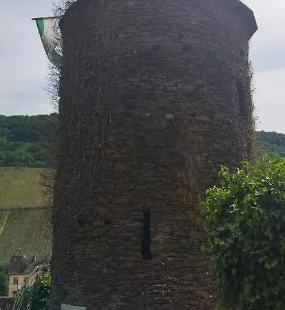 Daire Casa Servatius